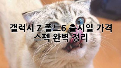 갤럭시 Z 폴드6: 출시일, 가격, 스펙 완벽 정리!