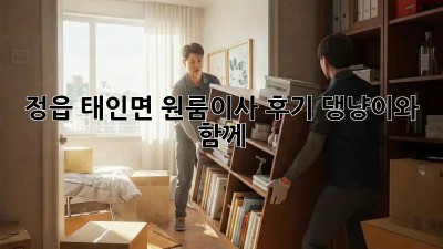 정읍 태인면 원룸이사 후기🏡 댕냥이와 함께 🐾